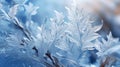 Elegant background of frozen leaves in ice, concept of cryotherapy for skin care. Delicate texture. Frosty beautiful