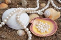 Elegant background with pearls and sea cockleshell Royalty Free Stock Photo