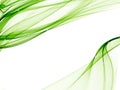 Elegant background with soft green designs