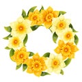 Elegant background with yellow daffodil narcissus. Spring flower with stem and leaves. Realistic pattern