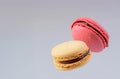 Elegant Bakery Artistry: Close-Up of Airborne Macaroons, Indulge in Sugary Delights