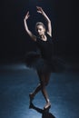 elegant ballerina dancing in pointe shoes