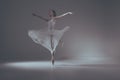 elegant ballet dancer dancing
