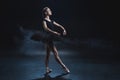 elegant ballet dancer in pointe shoes and black tutu