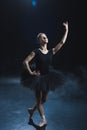 elegant ballet dancer in pointe shoes and black tutu