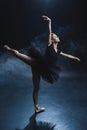 elegant ballet dancer in pointe shoes