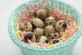 In an elegant basket in multi-colored tinsel are quail eggs. Easter concept