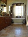 Elegant Bath Room