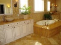 Elegant Bath Room Royalty Free Stock Photo