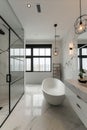 Elegant bath space with modern fixtures, a standalone tub, and a nature view through large windows