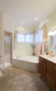 Elegant bathroom