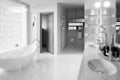 Elegant bathroom black and white