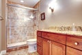 Elegant bathroom with glass door shower Royalty Free Stock Photo