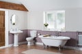 Elegant bathroom interior with luxury vintage bathtub, pedestal sink with a mirror, and toilet Royalty Free Stock Photo