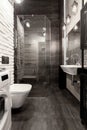 Elegant bathroom with shower Royalty Free Stock Photo