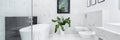 Elegant bathroom in white marble, panorama Royalty Free Stock Photo