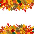 Elegant and beautiful autumn leaves and elements. Bright images for Thanksgiving Day.