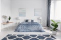 Elegant bedroom interior with big comfortable bed with blue bedding, paintings on the wall and patterned carpet on the floor, real Royalty Free Stock Photo