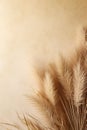 Elegant beige pampas grass plumes on a smooth beige background with ample copy space, evoking a serene and natural