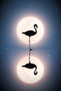 Lonely flamingo standing in lake on moonlight night