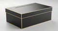 Elegant Black Ballot Box with Gold Trim on White Background Royalty Free Stock Photo