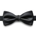 Elegant Black Bow Tie Isolated on White Royalty Free Stock Photo