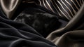 Elegant Black Clutch on Luxurious Golden Silk Fabric