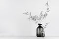 Elegant black glass bottles as home decor on soft light white wood table with silver decorative leaves, copy space.