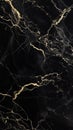Elegant Black Marble Texture with Intricate Gold Veins Royalty Free Stock Photo