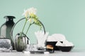 Elegant black toiletry for face skin care and make up - mirror, brush, white flowers, cosmetics bag in green aqua mint interior. Royalty Free Stock Photo