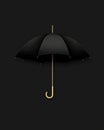 Elegant black umbrella with a gold handle against a dark background perfect for stylish rainy day imagery