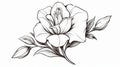 Elegant Black And White Lily Flower Clip Art Royalty Free Stock Photo