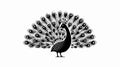 Elegant Black and White Peacock Isolated Vector Icon for Design Projects Royalty Free Stock Photo