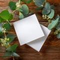Elegant Blank Note Cards Eucalyptus Greenery Mockup Royalty Free Stock Photo