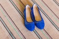 Elegant blue flat shoes for women Royalty Free Stock Photo