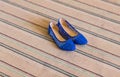 Elegant blue flat shoes for women Royalty Free Stock Photo