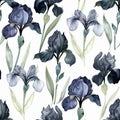 Elegant Blue and Grey Iris Flower Seamless Pattern Design Royalty Free Stock Photo