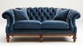 elegant blue sofa, blue tufted sofa with a wooden frame adds timeless elegance to your home decor, creating a chic and