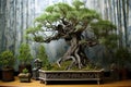 elegant bonsai tree with intricate branches against a garden backdrop