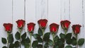 Elegant border of few red roses against pristine white backdrop Royalty Free Stock Photo