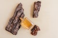 An elegant bottle of men`s perfume or toilet water with the natural smell of nature lies among the pieces of bark of a tree. top Royalty Free Stock Photo