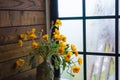 An elegant vase of yellow flowers next to the glass window still has dewdrops. Romantic floral decoration Royalty Free Stock Photo