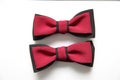 Elegant bow tie for a tuxedo or suit for an evening prom