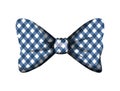 Elegant bowtie ribbon icon