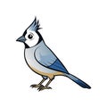 Elegant Bridled Titmouse Design Royalty Free Stock Photo