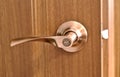 Elegant brown color wooden door surface with gold curved knob and lock Royalty Free Stock Photo