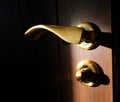 Elegant brown color wooden door surface with gold curved knob and lock in spot of bright sunlight Royalty Free Stock Photo