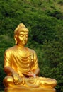 Elegant Buddha Royalty Free Stock Photo