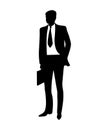 Elegant businessman with briefcase in hand