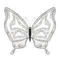 Elegant butterfly coloring page